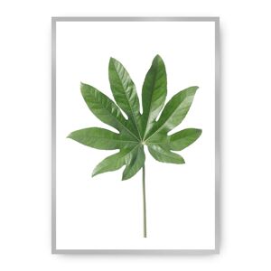 Plakát  Leaf Green