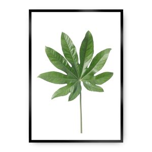 Plakát  Leaf Green