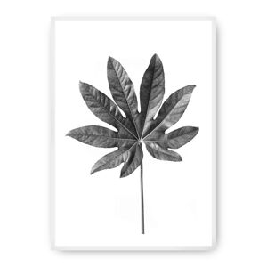 Plakát  Leaf Grey