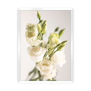 Plakát Elegant Flowers