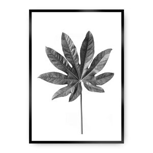 Plakát  Leaf Grey