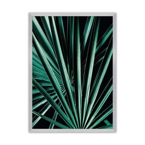 Plakát Dark Palm Tree