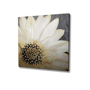 Wallity Obraz na plátně Whispering flower KC165 45x45 cm