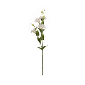Květ Eustoma výška  80cm