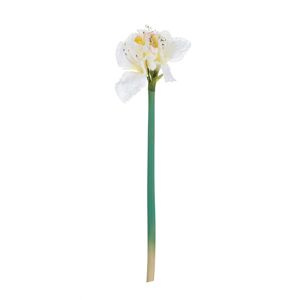 Květina um. Amaryllis White 75cm