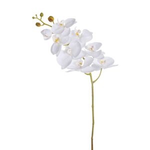 Květina um. Orchid White 55cm