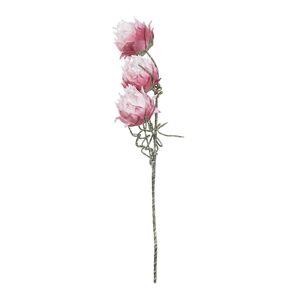 Květina um. Protea 75cm