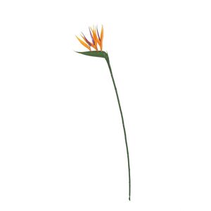 Květina um. Strelizia 66cm