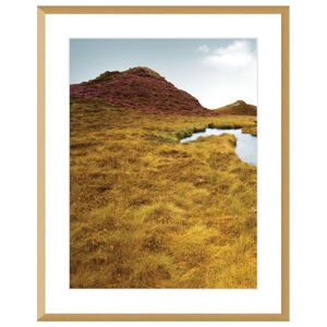 Obraz Grassy Field I 40x50cm