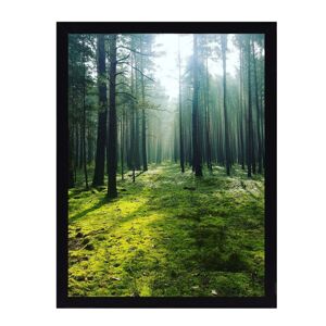 Obraz Green Forest 30x40cm