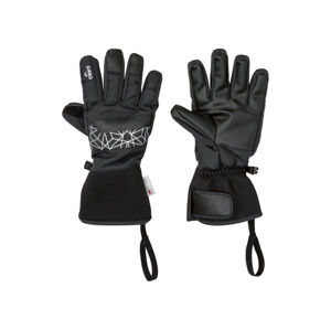 CRIVIT Dámské / Pánské lyžařské rukavice (adult#skiing#male, 8, černá/stříbrná)