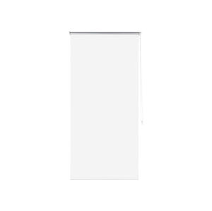 LIVARNO home Termo roleta na okna (60 x 150 cm, bílá)