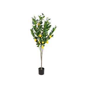 LIVARNO home Dekorační umělá rostlina citroník, 160 c