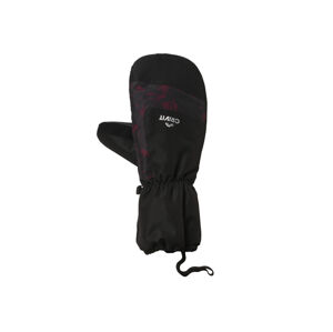 CRIVIT Pánské lyžařské rukavice (9, černá/palčáky)
