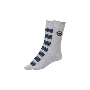 LIVERGY® Pánské ponožky s BIO bavlnou, 2 páry (39/42, pruhy/šedá)