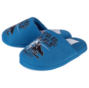 Chlapecká domácí obuv (26, modrá)