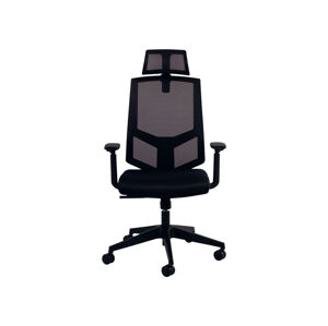 WRK21 Kancelářská židle Office Advanced (household/office chair)