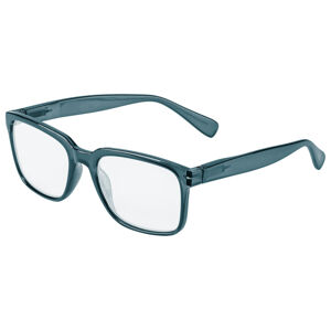 AURIOL® Brýle na čtení (+1,00, modrá)