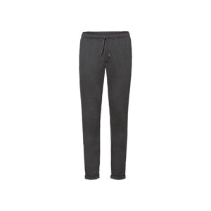 LIVERGY® Pánské kalhoty "Jogger" (adult#male#ne, M (48/50), šedá)