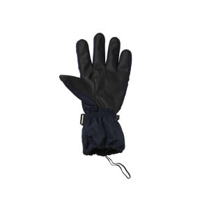 CRIVIT Pánské lyžařské rukavice (9, černá/rukavice)