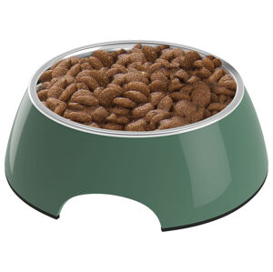 zoofari® Miska pro zvířata / Podložka na krmení (dog, miska na krmení / pití, velká, zelená)