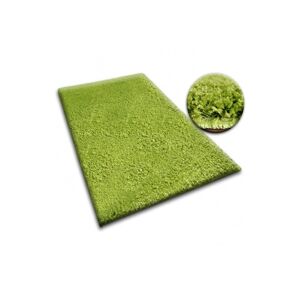 Dywany Lusczow Kusový koberec SHAGGY Izebelie 5cm zelený, velikost 200x300